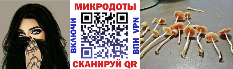 Купить где  Троицк  Галлюциногенные грибы Magic Shrooms 