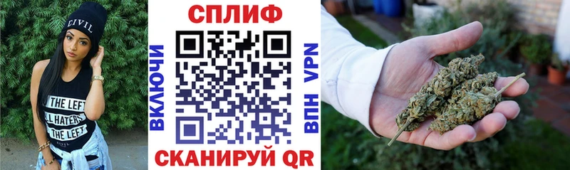 Бошки Шишки ГИДРОПОН  Купить закладки  Троицк 